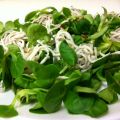 Ensalada de canónigos y gulas