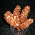 BROCHETA DE LANGOSTINOS CON PAN FRITO Y POLVO[...]