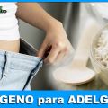 COLÁGENO para ADELGAZAR?... ¿SI ó NO?