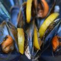 Mejillones al vapor de limón y vino blanco,[...]