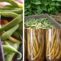 Cómo conservar verduras encurtidas (pickled[...]