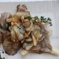 Girgolas o setas/champignones ostras a la[...]