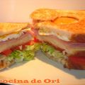 SÁNDWICH ESPECIAL  CORTY