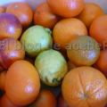 NARANJAS Ché