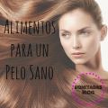 Los Mejores Alimentos para tu Melena