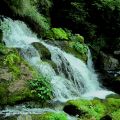 Bolets y Castellar de N´Hug