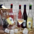 ViñaChy, cuando agua y vino se juntan