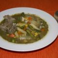 MENESTRÓN CRIOLLO PERUANO