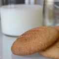 Campurrianas